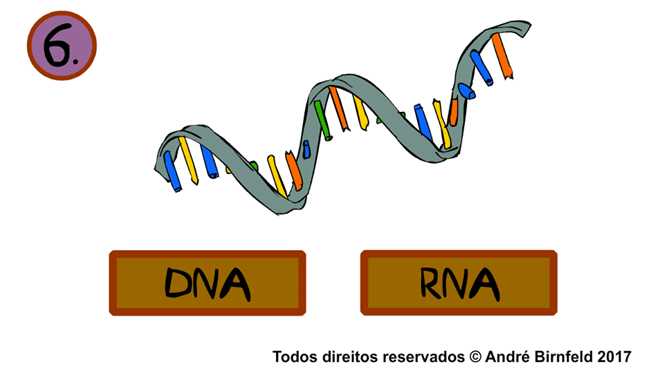 Gênio Quiz Science