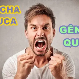 Gênio Quiz Rachacuca