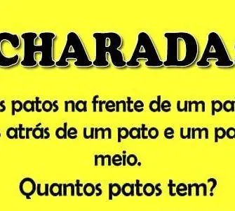 Há dois patos na frente de um pato