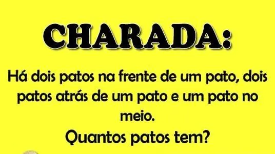 Há dois patos na frente de um pato