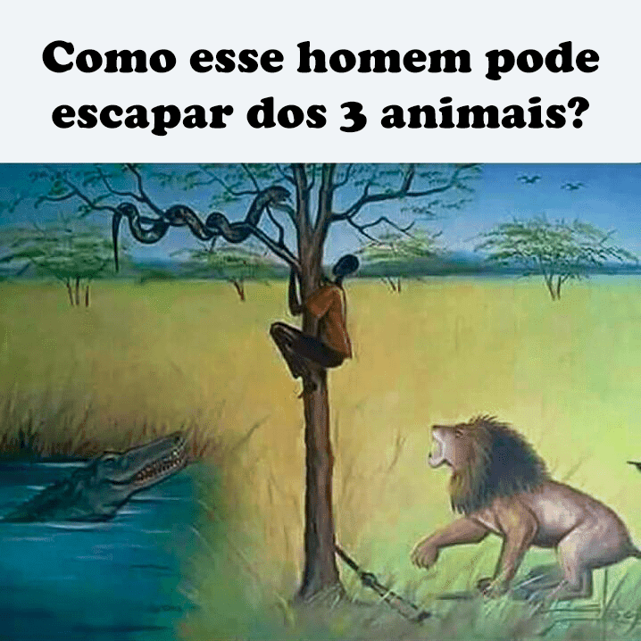 como esse homem pode escapar dos 3 animais