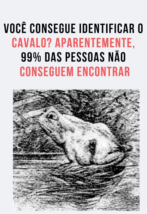 Ache o Cavalo