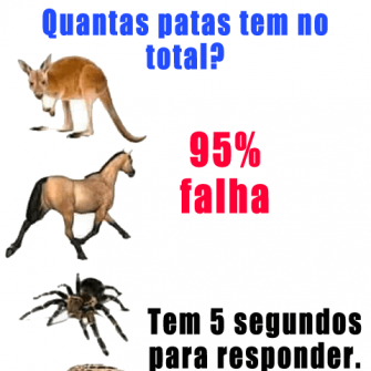 Quantas patas tem no total