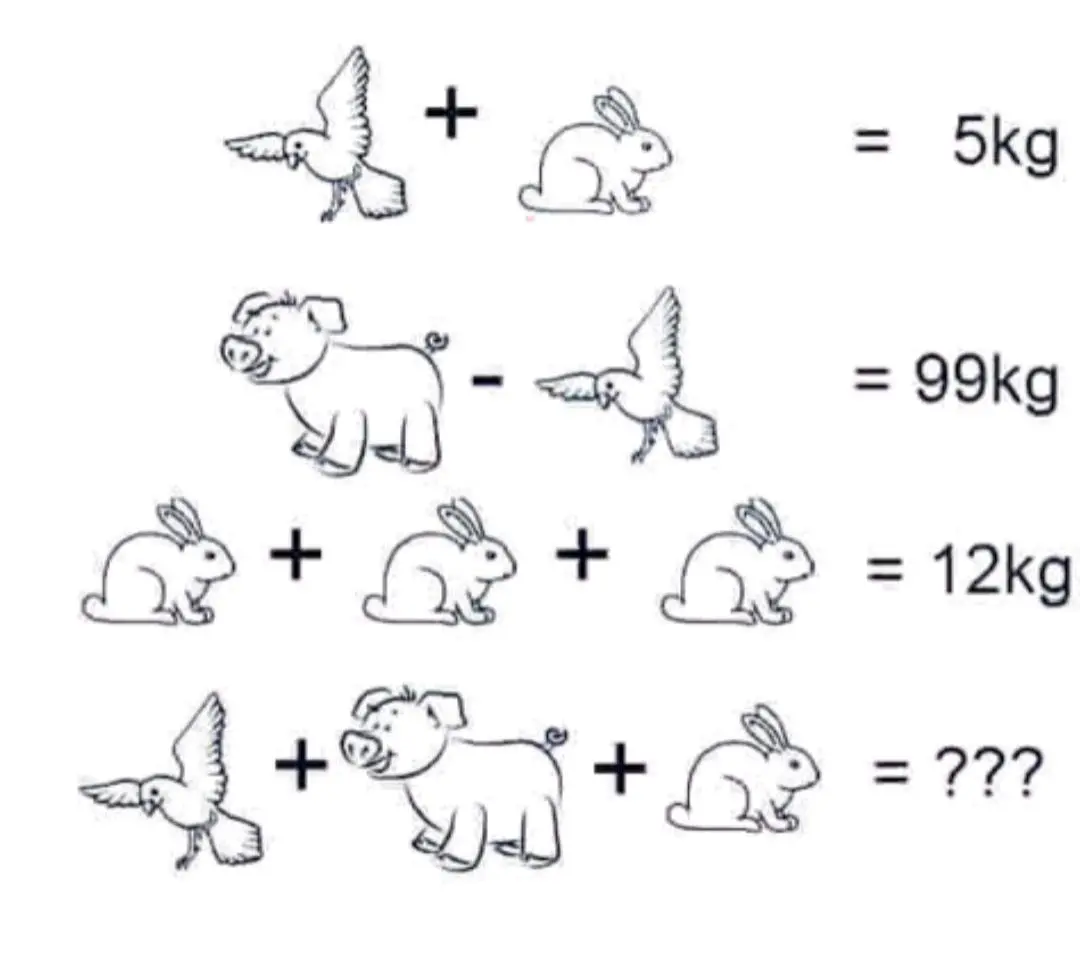 Resposta quanto pesa cada animal, porco, coelho e pombo