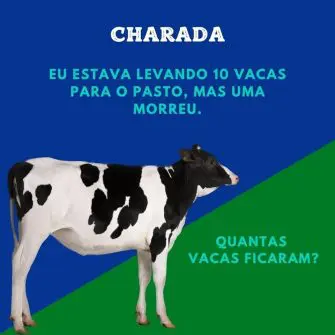 Resposta eu estava levando 10 vacas