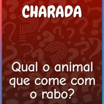 Qual o animal que come com o rabo