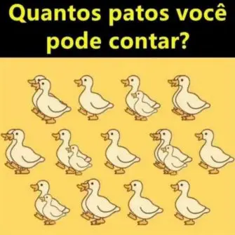 Quantos patos você ve?