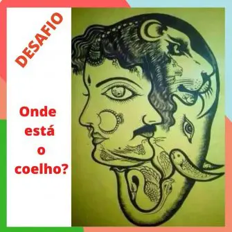 Onde esta o coelho?