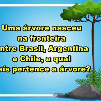 Um árvore nasceu na fronteira Entre Brasil Argentina e Chile