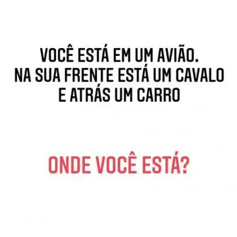 Voce está em um avião na sua frente está um cavalo