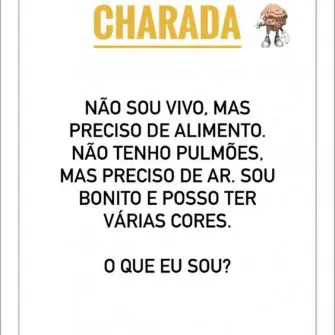 não sou vivo mas preciso de alimento