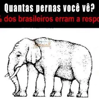 Quantas patas o elefante tem?