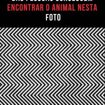 Apenas 5% das pessoas conseguem encontrar o animal nesta foto