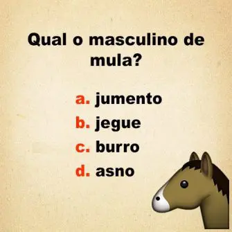 qual é o masculino de mula