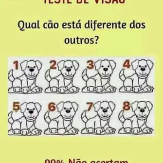 qual cãozinho está diferente dos outros