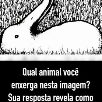 Qual animal você enxerga