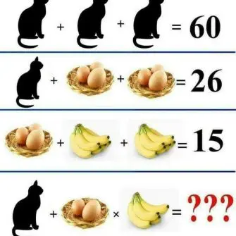 Gatos ovos e bananas