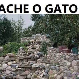 Ache o gato no templo