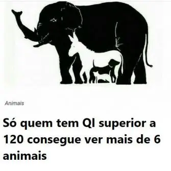 Só quem tem QI superior a 120 consegue ver mais de 6 animais