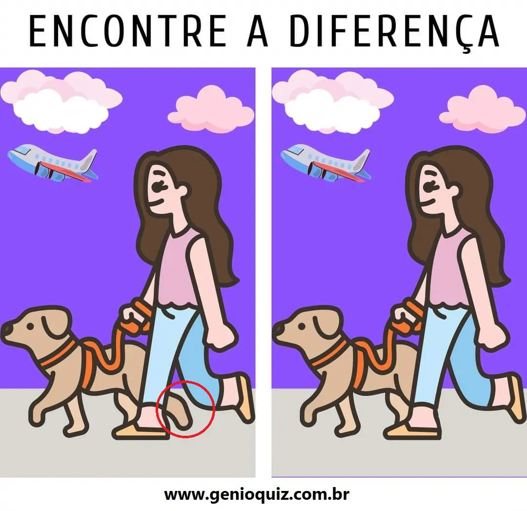 Resposta Encontre a Diferença: Passeando com o Doguinho