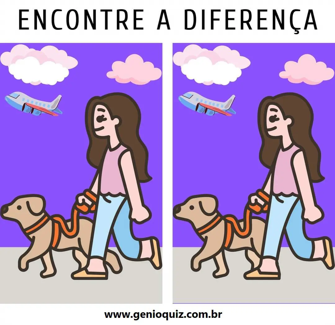 Encontre a diferença passeando com o doguinho