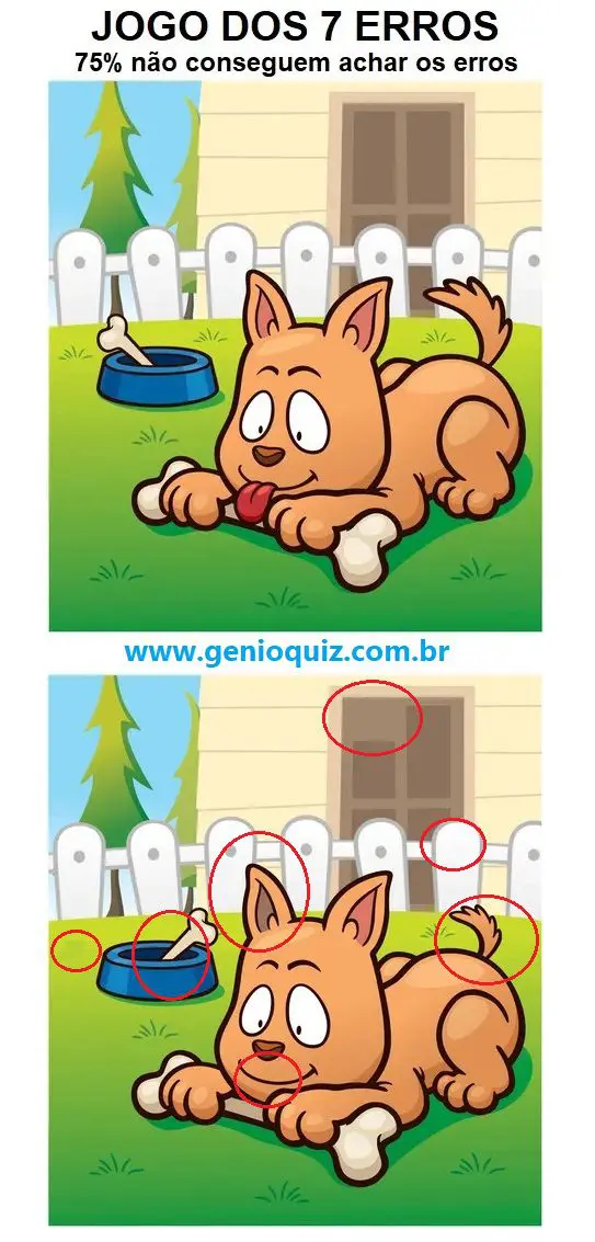 Resposta Jogo dos 7 erros: O Osso do Cachorro