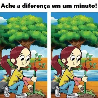 Encontre a Diferença em um Minuto: A Menina e a Plantinha