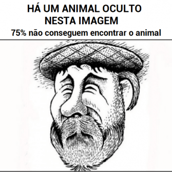 Há um animal nesta imagem