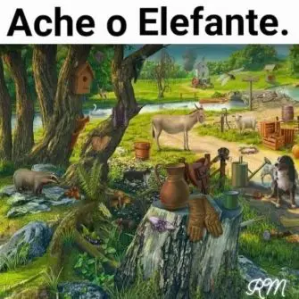 Ache o Elefante