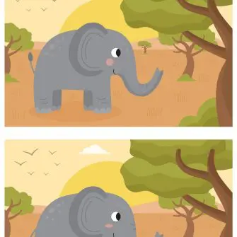 Descubra as Diferenças: O Elefante