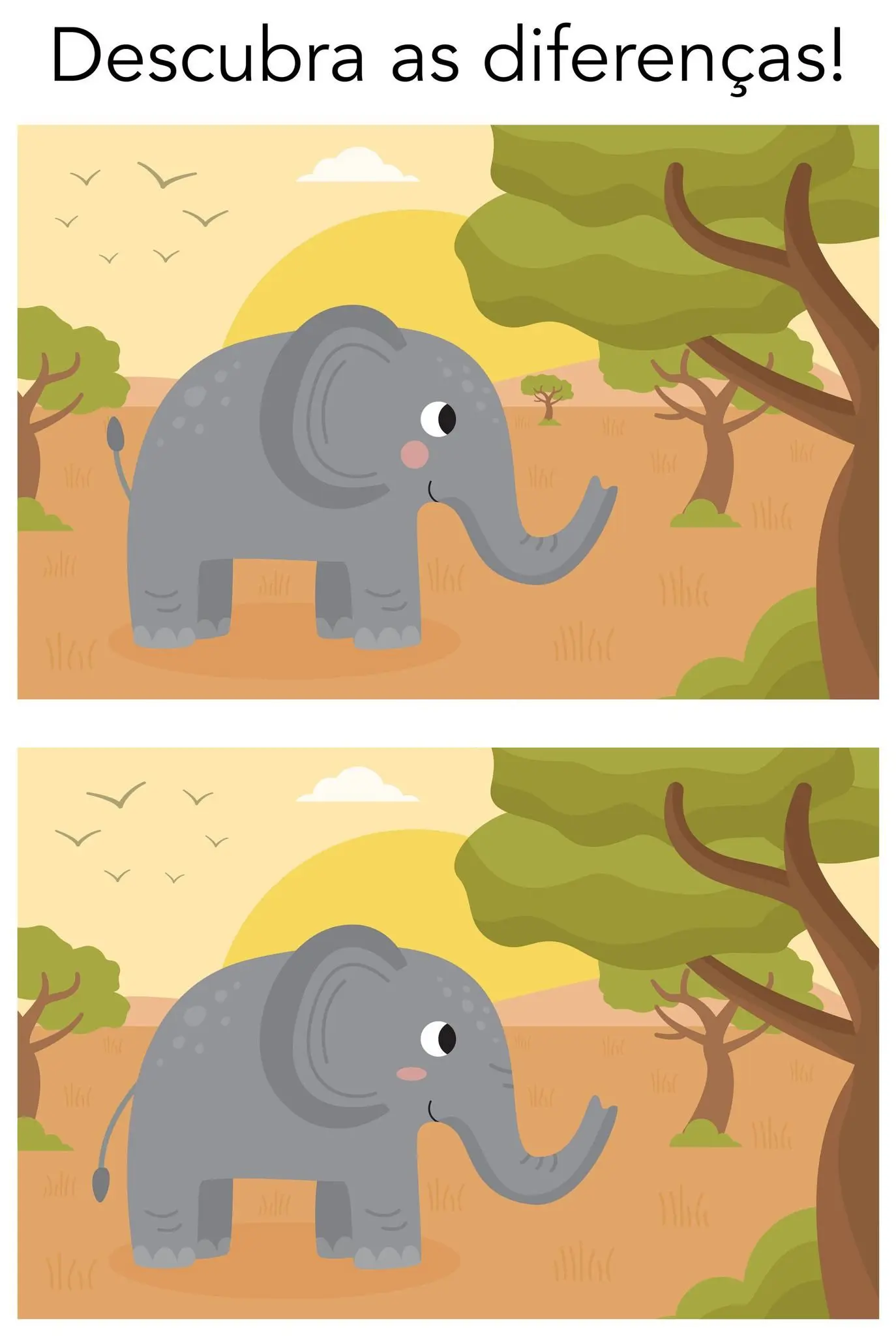 Descubra as Diferenças: O Elefante