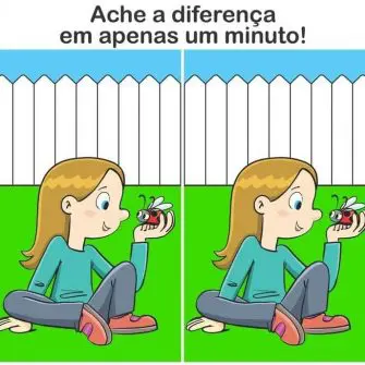 Ache a Diferença: A Joaninha