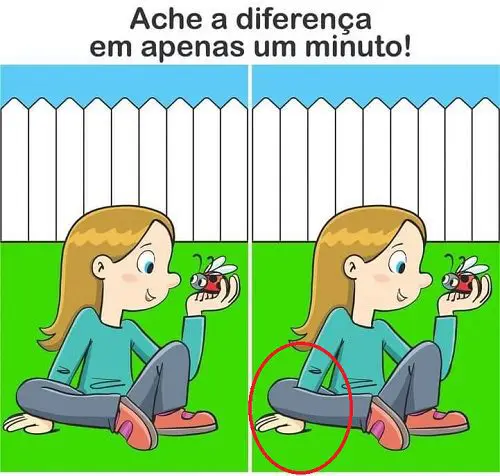 Resposta Ache a Diferença: A Joaninh