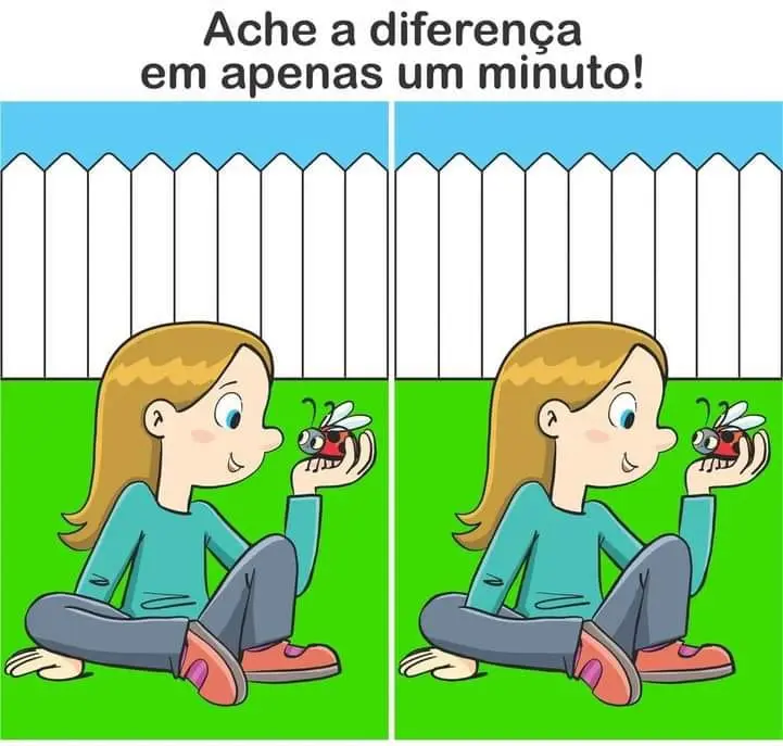 Ache a Diferença: A Joaninha