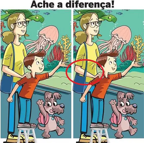 Ache a Diferença: O Aquário