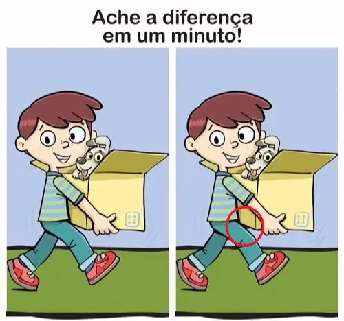 Ache a Diferença: O Cachorro na Caixa - resposta
