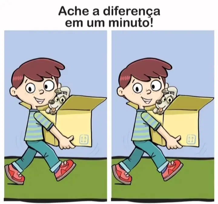 Ache a Diferença: O Cachorro na Caixa