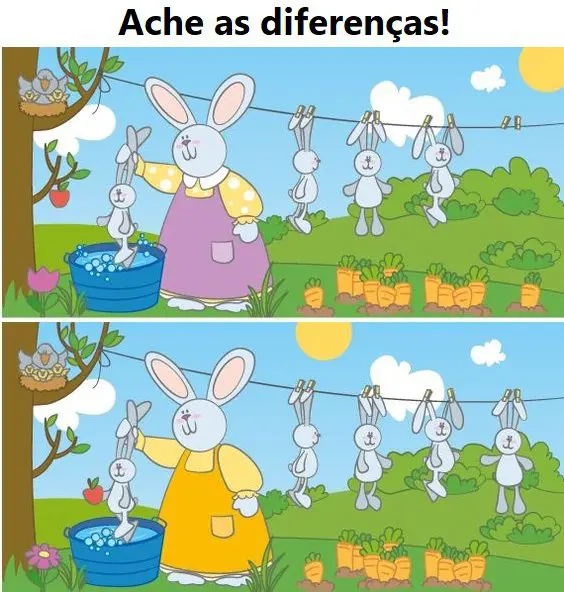 Ache as Diferenças: O Banho dos Coelhos