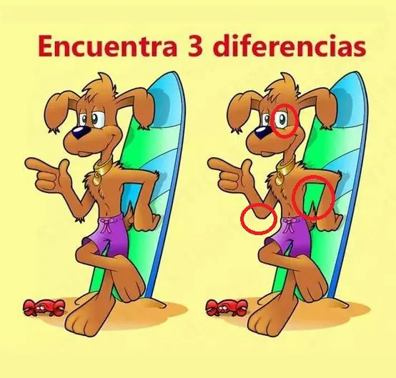 Encontre 3 Diferenças: O Cachorro Surfista