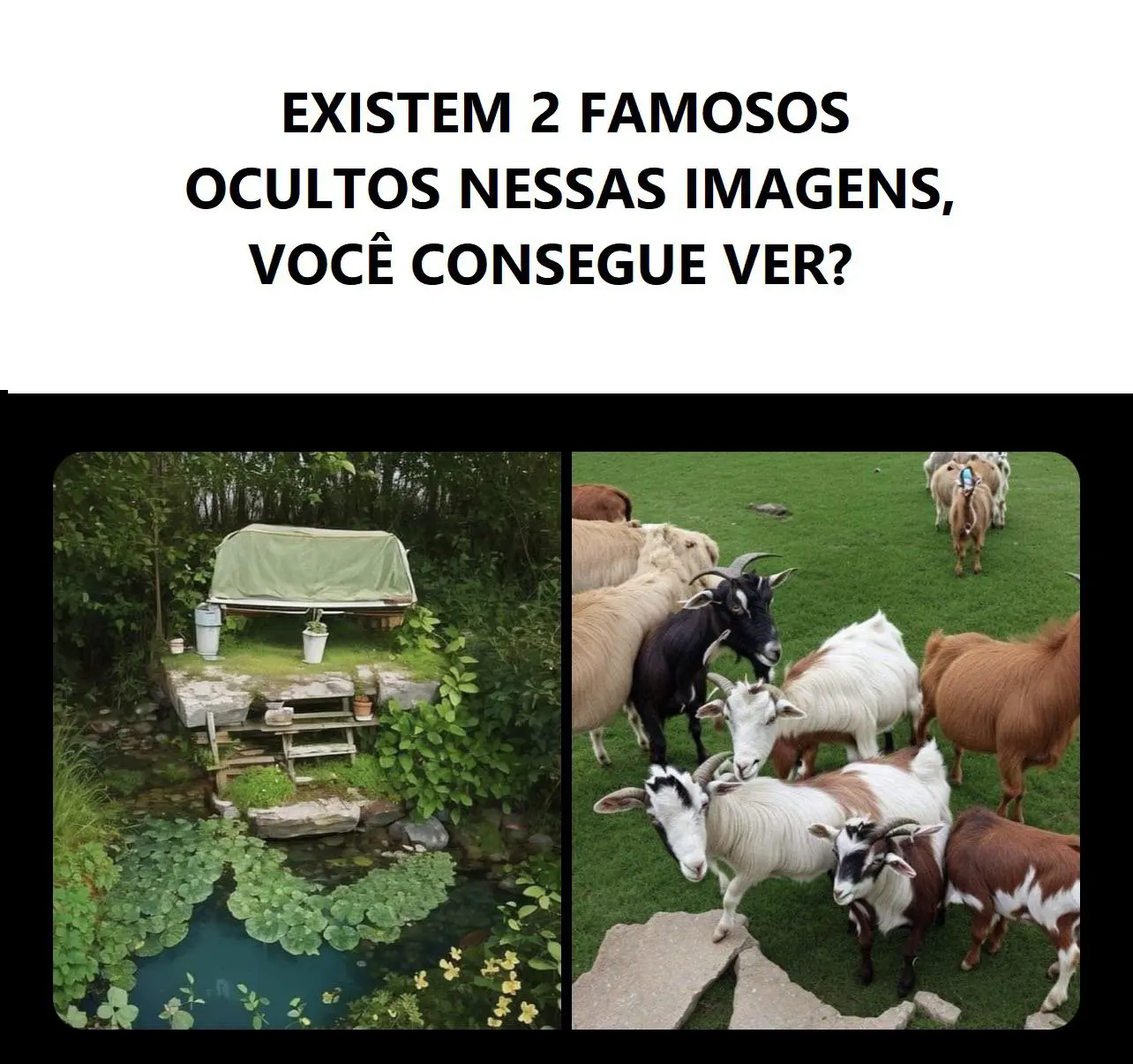 Quem são os famosos ocultos nessas imagens