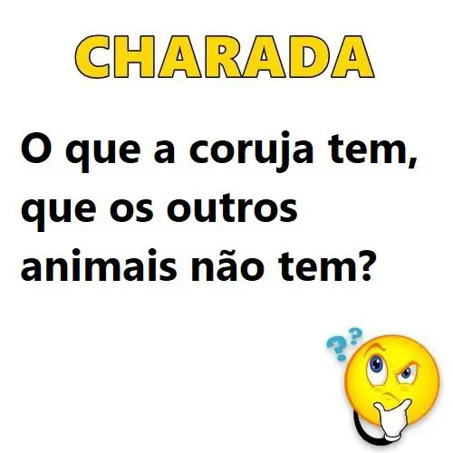 O que a coruja tem, que os outros animais não tem?