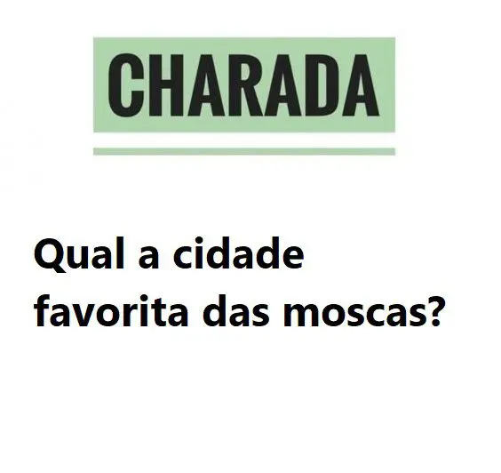 Qual a cidade favorita das moscas?