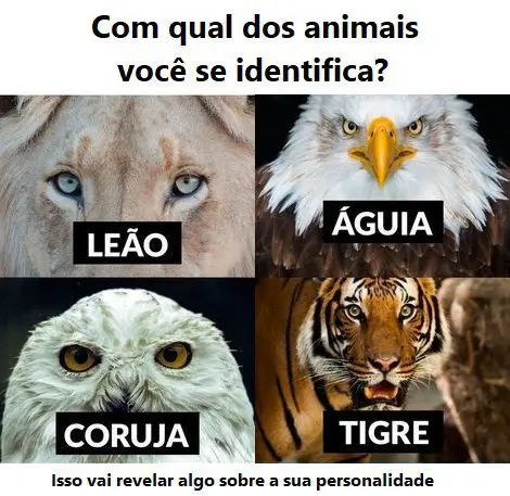 Qual animal é você