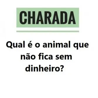 Qual é o animal que não fica sem dinheiro