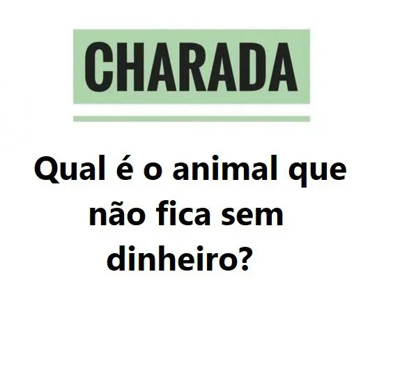 Qual é o animal que não fica sem dinheiro