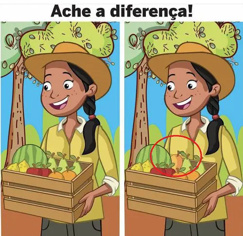 Resposta Ache a Diferença: A Agricultora