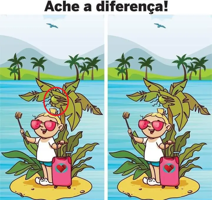 Resposta Ache a Diferença: A Turista