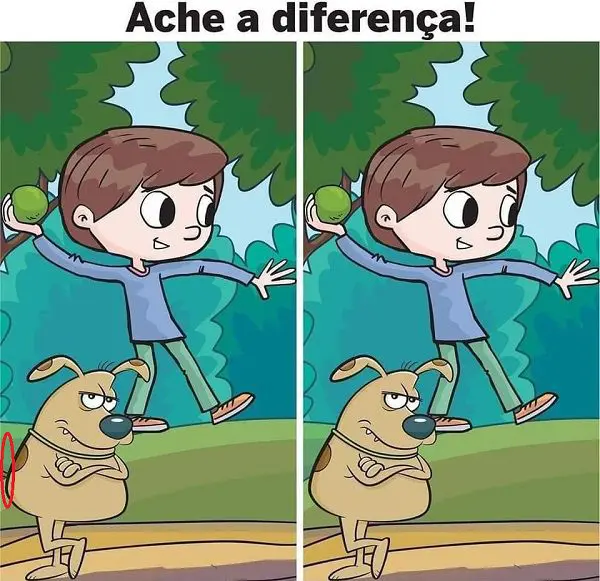 Resposta Ache a Diferença: Jogando a Bolinha