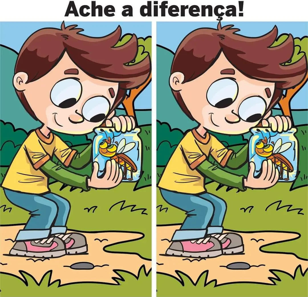 Ache a Diferença: O Menino dos Insetos