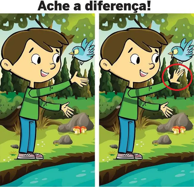 Resposta Ache a Diferença: O Menino e o Pássaro Azul